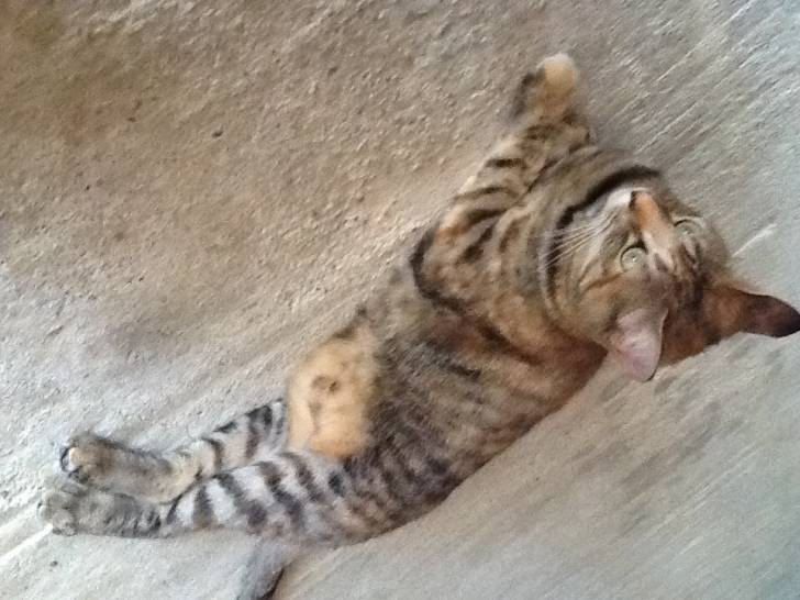 Louna - (2 ans)
