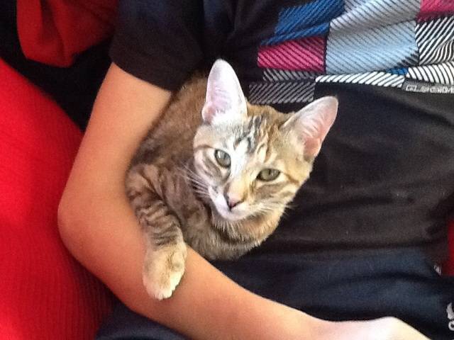 Louna - (5 mois)