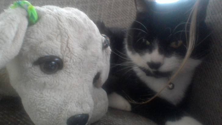 Charlie - (2 ans)