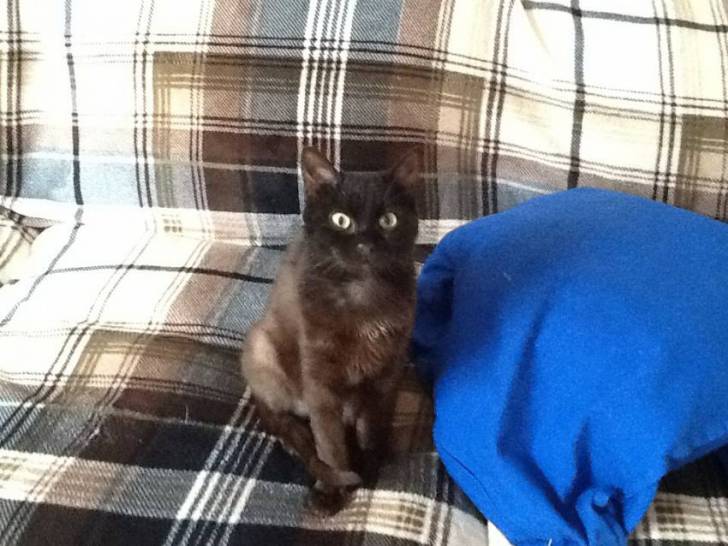 irina - (5 mois)