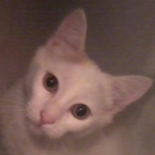 Joanna - (8 mois)