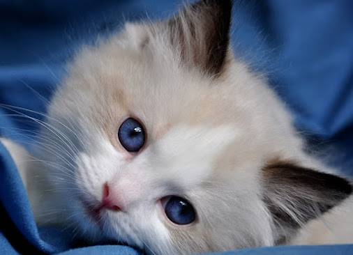 chat!!!! -