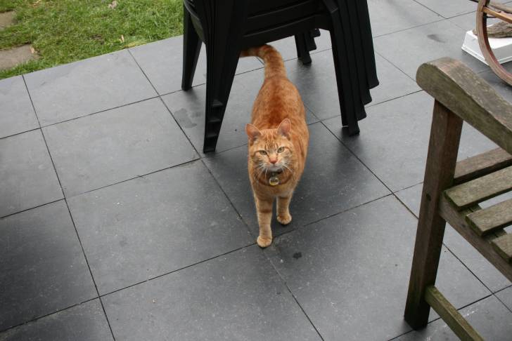 lilou - (8 ans)