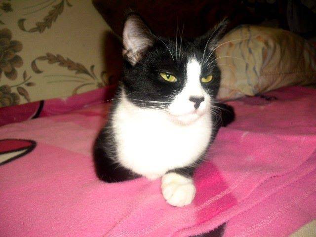 Hermione - (2 ans)