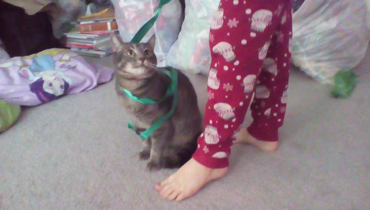 Sophie - (3 ans)