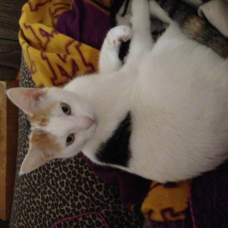 Gwen - (5 ans)