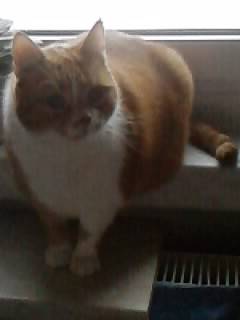 Serafina - (9 ans)