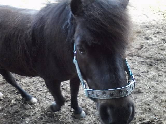 Rakaye - (9 ans)