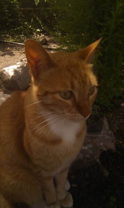 Tita - (2 ans)