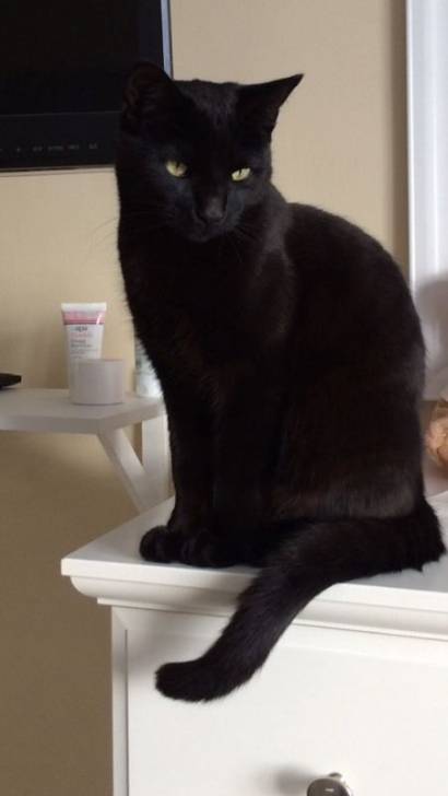 Hunter - (2 ans)