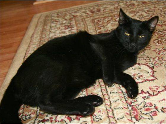 Hunter - (2 ans)