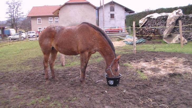 graziella - (12 ans)