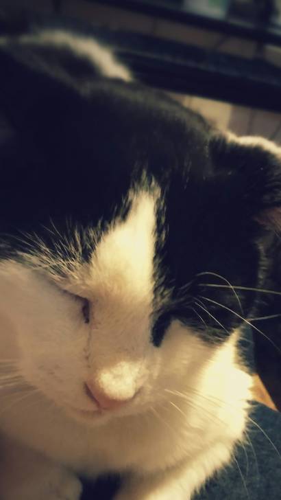 milkshake - (7 ans)