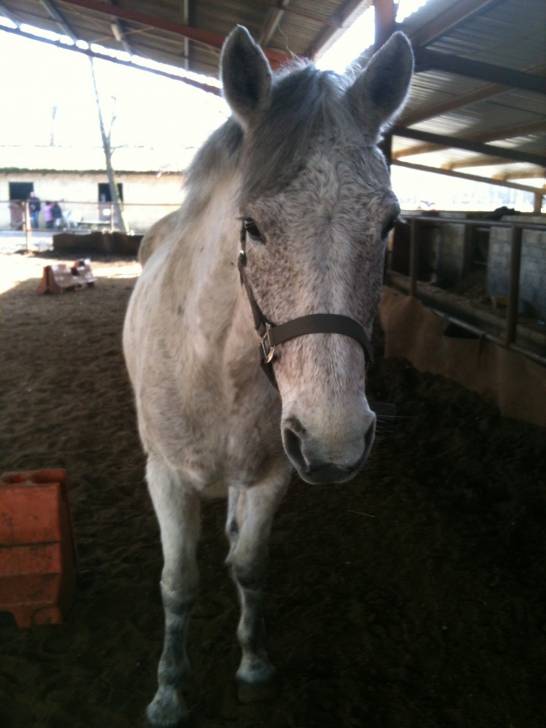 RockField Laura - (11 ans)