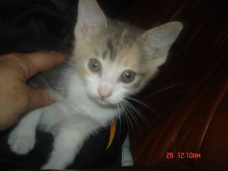 Clochette - (5 mois)