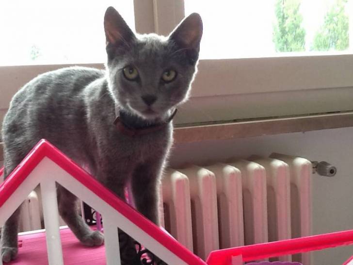 ikka - (1 mois)