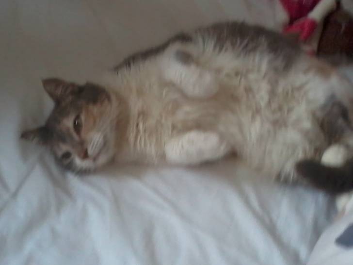 Fizz - (5 ans)
