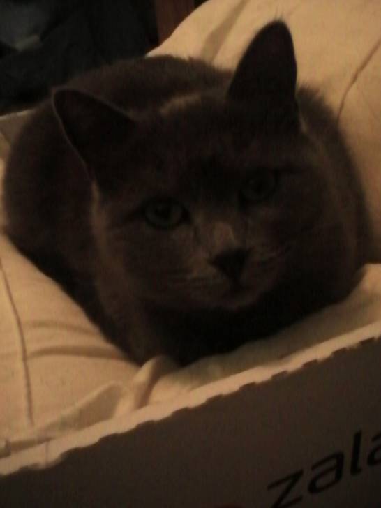 Lune - (3 ans)