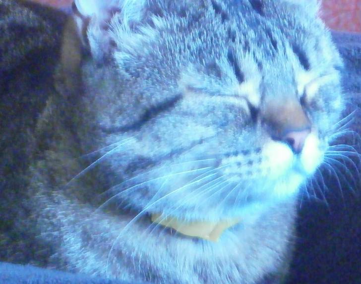 Anouchka - (3 ans)