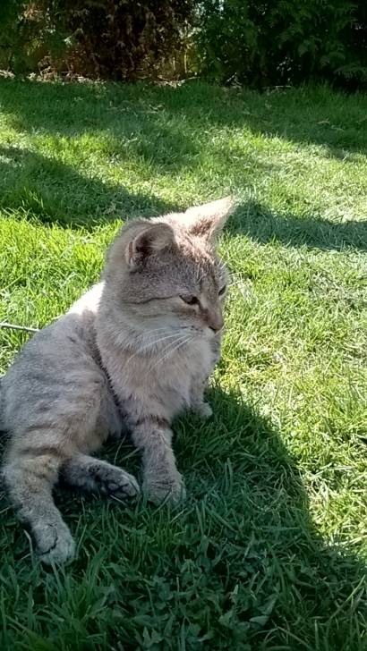 Matka Polka - (6 ans)