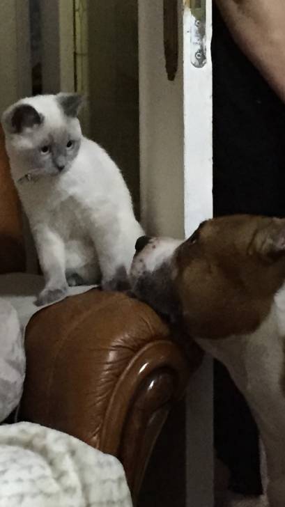 Luna et Tristan -