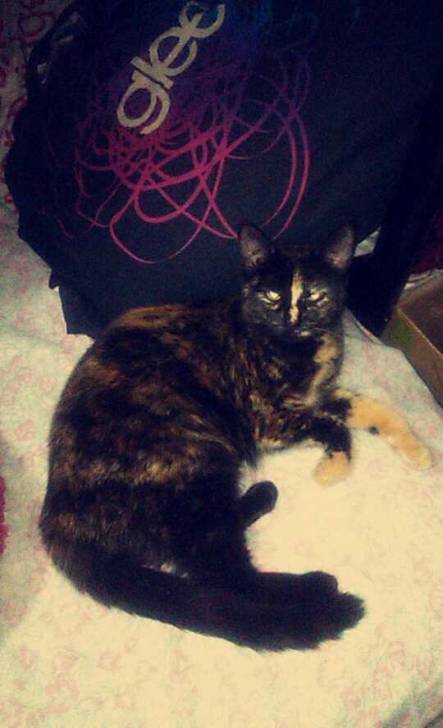 Quinn - (10 mois)