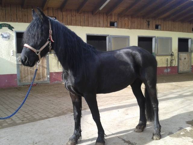 Mary - (8 ans)