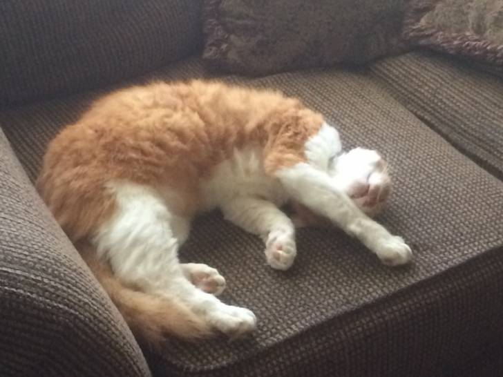 Rusty - (2 ans)