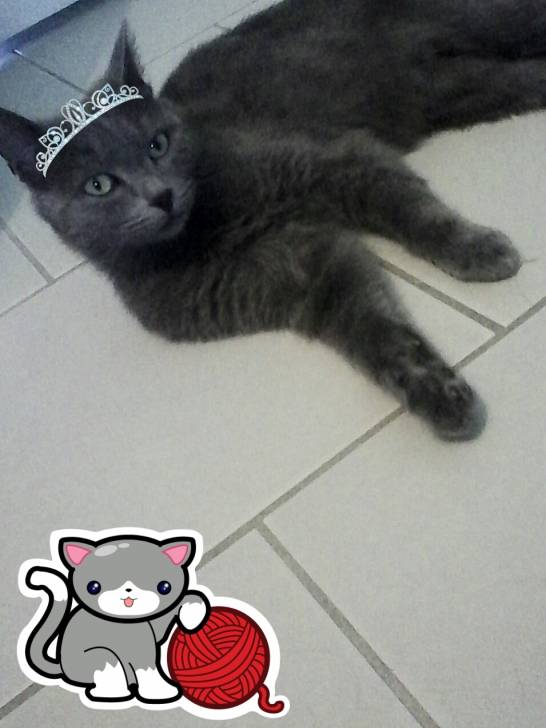 Little princess~ Lune - (3 ans)