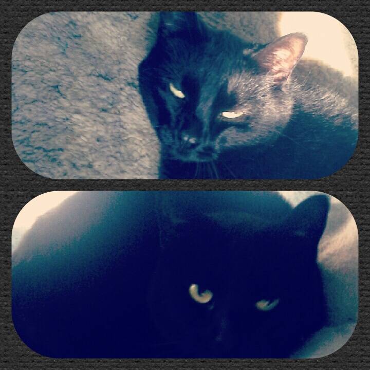 Baby - (2 ans)