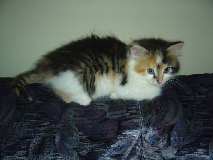 Fiona -