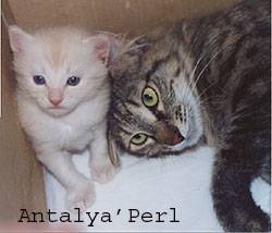 tendresse -