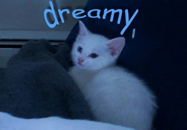dreamy -