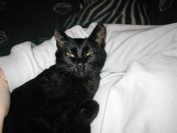 Kira fait un calin -