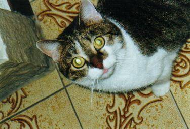 ...Ouche -