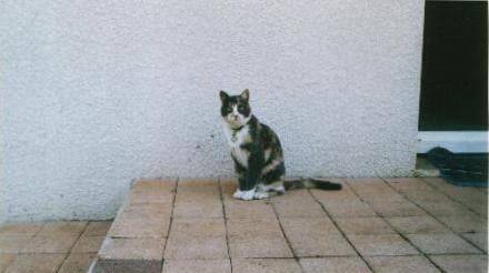 Une petite curieuse -