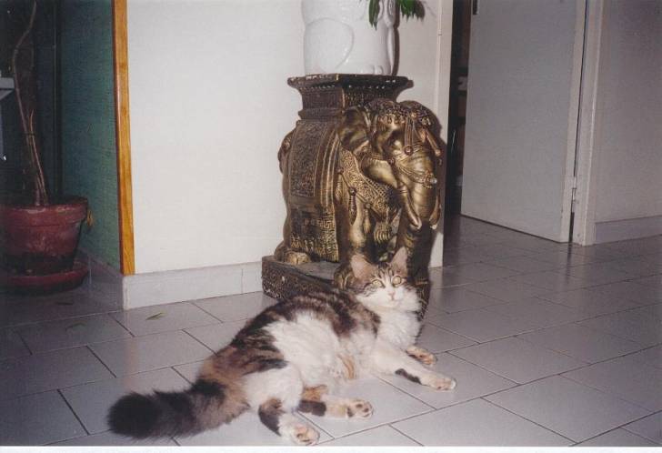 MA BEAUTE -