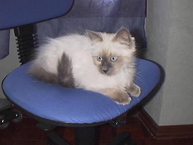 LUNA -