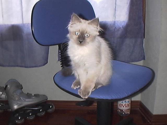 LUNA (4 mois) -