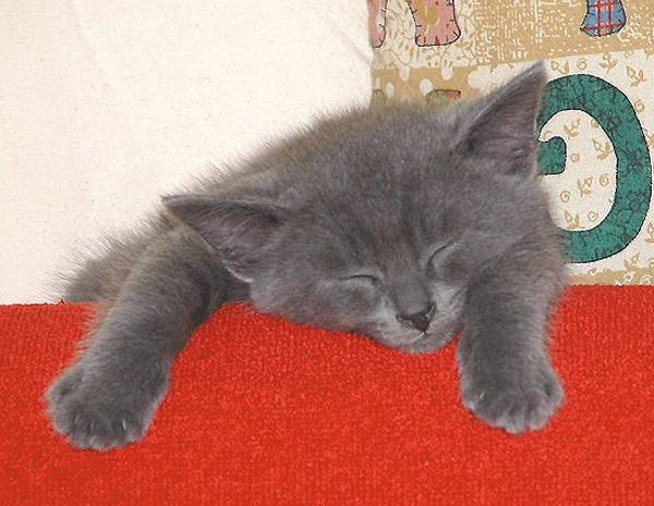 Julien -