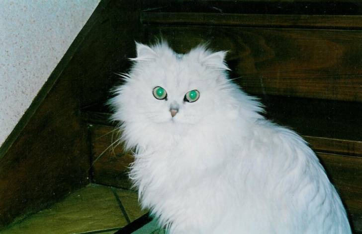 titus le beau! -