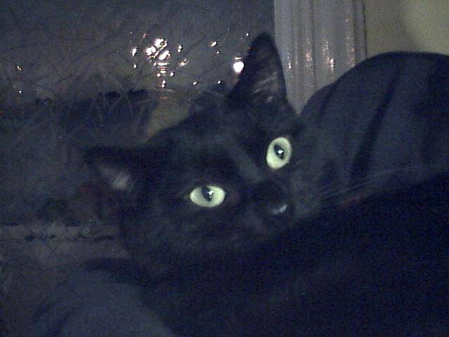 Mimi -