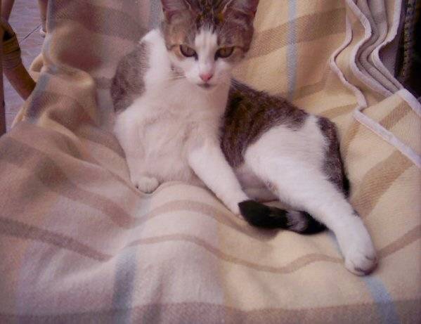 poupette -