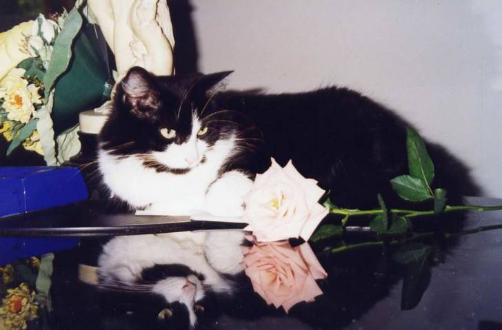 Ma petite MJ -