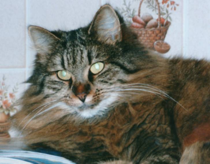bouly, 11 ans - (11 ans)
