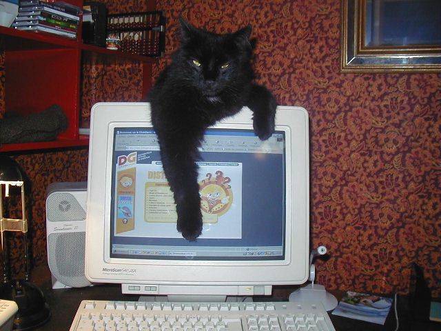 Ordinateur -