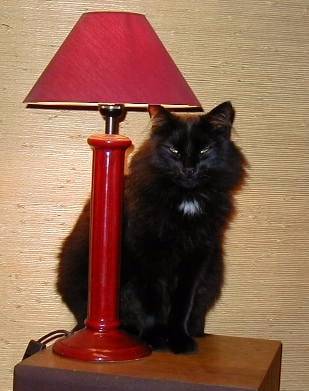 lampe rouge -