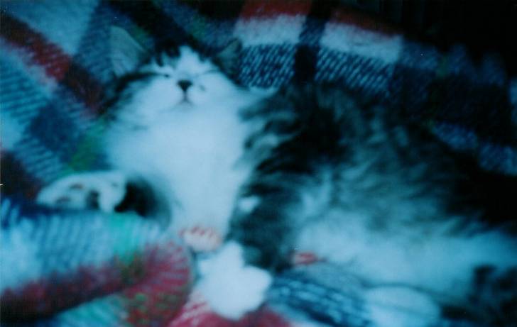 Minette fait DoDo -
