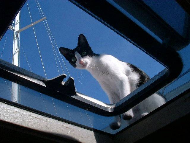 Lucie -