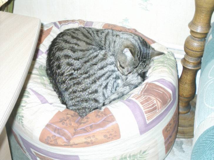 j'adore mon pouf !!! -